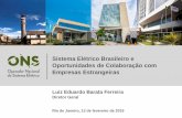 Sistema Elétrico Brasileiro e Oportunidades de Colaboração com …camaraitaliana.com.br/wp-content/uploads/2019/03/Luiz... · 2019. 3. 12. · GCCIA Arabia • GO15 trabalha articulado