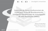 Definição de Zonas Preferenciais de Fluxo para Teste de ...seminario.ekosbrasil.org/wp-content/uploads/2016/05/Marcos-Tanaka.pdfTeste de Bombeamento •1783 (913 P&T+ 870 MPE) ou