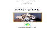 H vrios tipos de panterasomni.isr.ist.utl.pt/~jpc/salapedro/projectos/Panteras.pdf · Pantera negra • Pantera da montanha ... chamados de onça-preta ou pantera. 11 . Ficha técnica.