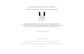 UNIVERSIDADE DE LISBOA FACULDADE DE BELAS-ARTESrepositorio.ul.pt/bitstream/10451/33920/2/ULFBA_TES... · Roland Barthes, Fragmentos de um Discurso Amoroso, dado o seu teor fragmentário