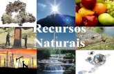 Recursos Naturais€¦ · Recursos Naturais. O que são recursos? O que são Recursos? Segundo Portugal (1992) “... A palavra recurso significa algo a que se possa recorrer para