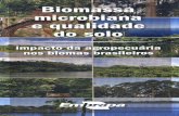 Principal - Agropedia brasilisainfo.cnptia.embrapa.br/digital/bitstream/item/...CBM em todos os biomas, mas os biomas da Amazônia, Cerrados, Pantanal e Caatinga foram os mais afetadosa