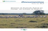 Sistemas de Produção Animal em Pastejo:um Enfoque de Negócio.ainfo.cnptia.embrapa.br/digital/bitstream/CPAC-2009/24724/1/doc_6… · Pastejo: um Enfoque de Negócio. Documentos