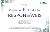2030 Consumo Produção E RESPONSÁVEISƒES.pdf · Uso de Terras Uso (%) Brasil USA Proteção e preservação da vida nativa 63,3 19,9 Agropecuário 30,2 74,3 • Pastagens 21,2