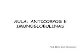 ANTICORPOS E IMUNOGLOBULINAS - Unesp · Anticorpos e Imunoglobulinas 9.1.- Conceito e Funções dos Domínios da Molécula de munoglobulinas a) Domínios VL e VH: Reconhecimento do
