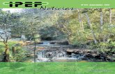 Nº 227 - maio/junho - 2014 · Noia - maio/junho 2014 3 IPEF lança novo Programa Cooperativo sobre Mecanização e Automação Florestal O setor de florestas plantadas bra - sileiro