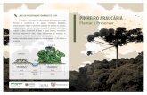 ÁREA DE PRESERVAÇÃO PERMANENTE – APP PINHEIRO …mppr.mp.br/arquivos/File/imprensa/2015/Araucaria_folder_graf.pdf˚ora brasileira ameaçadas de extinção. No estado do Paraná,