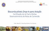 Biocombustíveis Drop-In para Aviação · 2018. 4. 7. · • Trabalhos Finalizados no tema: 1 Pós-doutorado (óleo de palma e residual) e 2 doutorados (óleo de macaúba e óleo