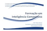 WORKSHOP BRASILEIRO DE INTELIGÊNCIA COMPETITIVA E …lillianalvares.fci.unb.br/phocadownload/Apresentacoes/... · 2018. 11. 8. · Referencial 9Formação em Inteligência Econômica