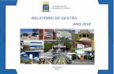 RELATÓRIO DE GESTÃO ANO 2018 - proplan.ufpi.br · Relatório de Gestão do exercício de 2018 apresentado aos órgãos de controle interno e externo e à sociedade como prestação