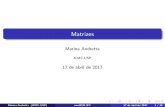Matrizes - sites.icmc.usp.br€¦ · Matrizes Quando declaramos uma matriz usando inteiro mat[3][5] em pseudo-c odigo ou int mat[3][5]; em linguagem C, o que estamos fazendo e alocar