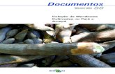 Documentos - COnnecting REpositories · A pesquisa agropecuária brasileira se confunde com a própria história de constituição e fortalecimento do Estado brasileiro. Em terras