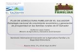 PLAN DE AGRICULTURA FAMILIAR DE EL SALVADOR: Estrategia ... · Caso El Salvador: Plan de Agricultura Familiar como el camino a seguir para superar los retos del sector agropecuario