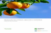 PRODUÇÃO DE CITRINOS, ABACATES E DIÓSPIROS · 2018. 10. 2. · Ampla gama de complementos nutricionais, direcionados para proporcionar às plantas as condições mais adequadas