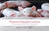 Maternidade suína...Ges oletiv Crédito:Fazenda Miunça A adoção de práticas de bem-estar durante a maternidade suína tem como objetivo minimi-zar o estresse dos animais em uma