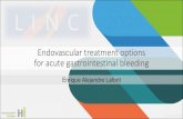 Endovascular treatment options for acute gastrointestinal bleeding · Upper gastrointestinal bleeding (UGIB) Guidelines: 2017 S2k-Leitlinie Gastrointestinale Blutung AWMF-Register