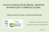 CACAU E CHOCOLATE NO BRASIL: DESAFIOS NA PRODUÇÃO E … · com 95% do mercado • Fornecedores de açúcar e leite pulverizados • Concentração no varejo • Marcas próprias