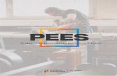 PEES | Programa de Estabilização Económica e Social · 2020. 6. 7. · Programa Reforçado de Apoios ao Emprego e à Formação Profissional p.8 2.2 Apoios ao emprego na retoma