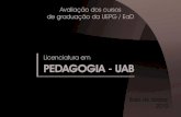 Licenciatura em PEDAGOGIA - UAB€¦ · As informações produzidas permitem, ainda que de forma parcial, a compreensão da percepção discente sobre aspectos pedagógicos, administrativos