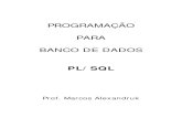 PROGRAMAÇÃO PARA BANCO DE DADOS - Unilivros · 1. Conceitos de programação para banco de dados: Introdução ao PL/SQL 2. Declarações 3. Tipos de dados 4. Constantes e variáveis