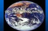 CICLOS BIOGEOQUÍMICOS€¦ · de ciclos biogeoquímicos. ... Os principais ciclos são: da água, do carbono, do oxigênio e do nitrogênio. IMPORTÂNCIA DA ÁGUA PARA OS SERES VIVOS