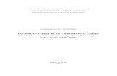 DINÂMICAS TERRITORIAIS EM RONDÔNIA: Conflitos fundiários ...repositorio.pucrs.br/dspace/bitstream/10923/7523/1... · Projeto Integrado de Colonização Sidney Girão (1970 - 2004)