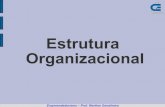 Estrutura Organizacional · 2008. 9. 22. · Empreendedorismo – Prof. Werther Serralheiro A estrutura de uma empresa não é definitiva, ela deve se adequar dependendo do tipo de
