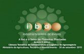 A Ibá e o Setor de Florestas Plantadas - Governo do Brasil · • Superação de barreiras e incentivos Resultaria em 2 bi tCO2e entre 2015-2030 – 10% das emissões anuais do Brasil