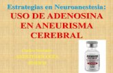 Estrategias en Neuroanestesia USO DE ADENOSINA EN ... · EN ANEURISMA CEREBRAL Carlos Navarro ANESTESIOLOGIA HNERM. ADENOSINA •Nucleósido - Receptor A1 cardiaco •Disminuye la