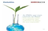 As PMEs que mais crescem no Brasil Um estudo sobre as ... · as oportunidades do novo ciclo de expansão do País, a Deloitte e a revista EXAME PME realizaram este estudo em parceria.