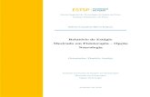 Relatório de Estágio Mestrado em Fisioterapia Opção Neurologia · 2019. 5. 2. · Relatório de Estágio – Mestrado em Fisioterapia opção Neurologia 7 Introdução Nos últimos