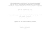 RAFAEL HENRIQUE LEÃO CARACTERIZAÇÃO DE INCIDÊNCIAS PATOLÓGICAS DE …repositorio.roca.utfpr.edu.br/jspui/bitstream/1/1902/1/... · 2017. 12. 8. · CARACTERIZAÇÃO DE INCIDÊNCIAS