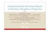 Cooperativismo Social no Brasil conceitos, desafios e propostassaudeecosol.org/wp-content/uploads/2009/04/... · 2015. 4. 16. · coordenador cooperativismo social – unisol brasil