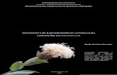 SISTEMÁTICA DE BARNADESIOIDEAE (ASTERACEAE) COM … · contendo as espécies Dasyphyllum diacanthoides e Dasyphyllum excelsum.....23 Figura 4. Árvore de consenso de maioria obtida