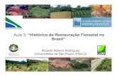 Aula 3: “Histórico da Restauração Florestal no Brasil” · Aula 3: “Histórico da Restauração Florestal no ... POPULAÇÃO Reprodução Vegetativa HABITAT Chuva de Sementes
