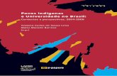 Miolo PovosIndigenas 15-10-13laced3.hospedagemdesites.ws/laced/pdfs/LivroPovosIndigenas.pdf · Cenários da educação superior de indígenas no Brasil, 2004-2008: as bases e diálogos