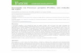 Inovação na Fiocruz: projeto Profito, um estudo de caso€¦ · 2006a), que lançou as bases para o surgimento da Política Nacional de Plantas Medicinais e Fitoterápicos (PNPMF)