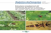 Estrutura populacional de joaninhas predadoras em consórcio ...ainfo.cnptia.embrapa.br/digital/bitstream/item/76433/1/...Estrutura populacional de joaninhas predadoras no consórcio