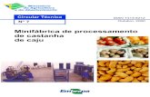 Minifábrica de processamento de castanha de caju · Minifábrica de processamento de castanha de caju Circular Técnica N° 7 ISSN 1413-8212 Outubro, 2000