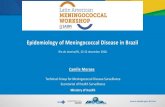 Epidemiology of Meningococcal Disease in Brazil · 2019. 1. 7. · Número de isolados por sorogrupo identificados no IAL/SP. Brasil, 2002–2017. Fonte : Centro de Bacteriologia