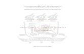 A twistlivros01.livrosgratis.com.br/cp142506.pdf · universidade federal de pernambuco centro de ciÊncias exatas e da natureza programa de pÓs-graduaÇÃo em matemÁtica luÍs henrique