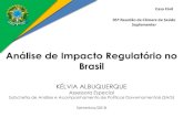 Análise de Impacto Regulatório no Brasil€¦ · O ciclo regulatório deve ser um processo que se retroalimenta ATENÇÃO COM CICLO REGULATÓRIO INTEIRO Elaboração Aplicação