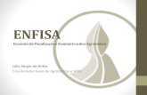 ENFISA Encontro de Fiscalização e Seminário sobre Agrotóxicos · Histórico Lei Federal 7.802 Decreto 4.074 1989 2002 Art. 71, Inc. II: OEDSVs são responsáveis pela fiscalização