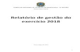 Relatório de gestão do exercício 2018 - CRTR-6Relatório de gestão do exercício 2018 Relatório de Gestão do exercício de 2018, apresentado aos órgãos de controle interno