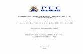 New REDES DE FREQÜÊNCIA ÚNICA MICRORREGIONAIStede.bibliotecadigital.puc-campinas.edu.br:8080/jspui... · 2016. 5. 2. · realiza um estudo de caso desta proposta na microrregião
