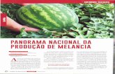 PANORAMA NACIONAL DA PRODUÇÃO DE MELANCIAainfo.cnptia.embrapa.br/digital/bitstream/item/196237/1/... · 2019. 4. 25. · do consumir de 300 a550 mm por ciclo. ... de desenvolvimento