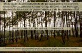 Modelação da produtividade de povoamentos de pinheiro ... Mest… · Modelação da produtividade de povoamentos de pinheiro bravo (Pinus pinaster Aiton) ... • 58% destes povoamentos