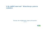 CA ARCserve® Backup para UNIX...RMAN (Recovery Manager - Gerenciador de recuperação), um utilitário do Oracle que possibilita fazer backup, restaurar e recuperar bancos de dados.