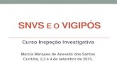 SNVS e o vigipós · Resolução RDC no. 4 de 10 de fevereiro de 2009 (Estruturação da farmacovigilância nos detentores de registro de medicamentos). TECNOVIGILÂNCIA Resolução