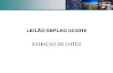 EXIBIÇÃO DE LOTES - Secretaria de Estado de Planejamento ...€¦ · leilÃo seplag 04/2018 exibiÇÃo de lotes. lote 1 –1/2 •172 itens de mobiliÁrio, informÁtica, equipamentos